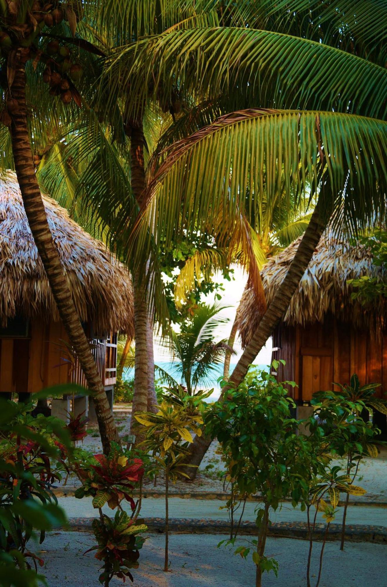 St. George'S Caye Resort Belize City Room photo